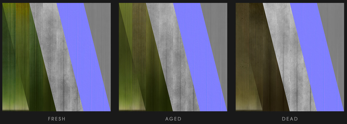 草地野草3D模型(FBX/OBJ格式)  Vertex Library – HyperGrass 01 WildGreen插图2