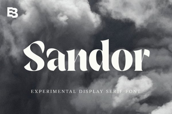 时尚品牌标题商标设计衬线英文字体 Sandor