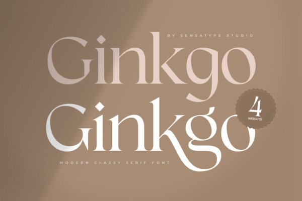 现代优雅品牌标识包装设计衬线英文字体 Ginkgo – Modern Classy Serif Font