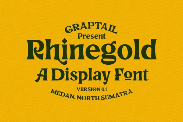 现代复古标识海报服装设计衬线英文字体 Rhinegold – Display Font