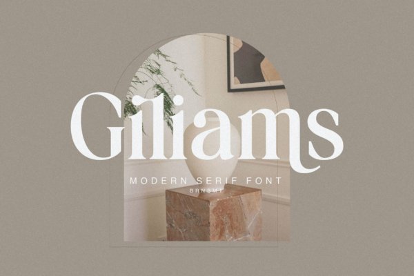 现代优雅杂志品牌徽标logo设计衬线英文字体 Giliams – Modern Ligature Serif
