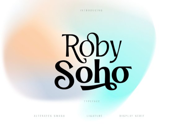 优雅奢华品牌标志杂志设计衬线英文字体 Roby Soho Typeface