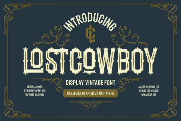 复古海报T 恤品牌设计装饰性英文字体 Lostcowboy