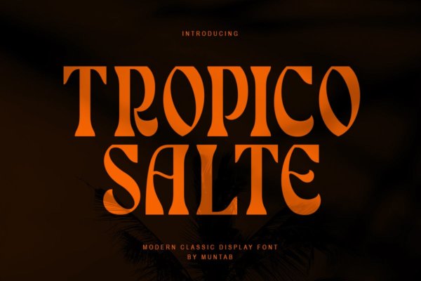 优雅奢华海报徽章品牌设计衬线英文字体 Tropico Salte  Serif Display