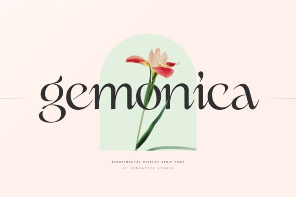 现代优雅标志品牌海报设计衬线英文字体 gemonica – experimental serif font