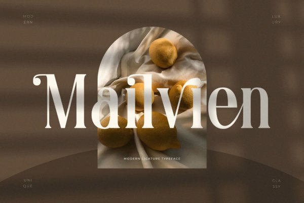现代优雅品牌杂志徽标设计衬线英文字体 Mailvien – Modern Ligature Typeface