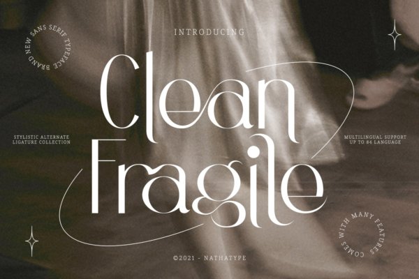 现代奢华杂志品牌徽标logo设计无衬线字体 Clean Fragile