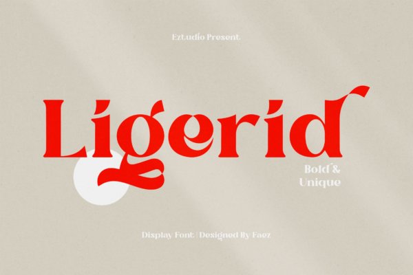 现代优雅杂志海报名片设计衬线英文字体 Bold And Unique Font – Ligerid