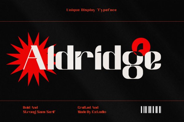 潮流逆反差杂志海报徽标logo设计无衬线英文字体 Unique Display Font – Aldridge