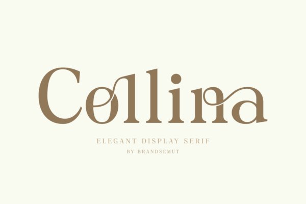 优雅杂志社交媒体徽标logo设计衬线英文字体 Collina – Ligature Serif Font