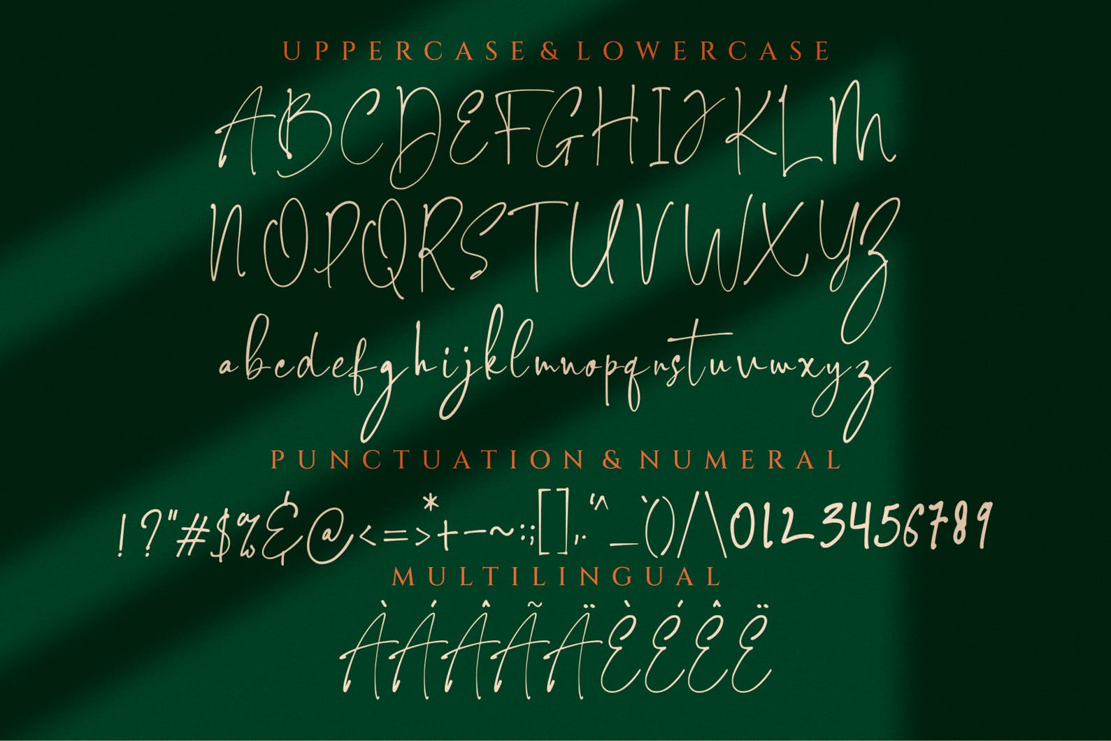 现代时尚品牌标志徽标logo设计衬线英文字体 Roberto – Duo Typeface插图5