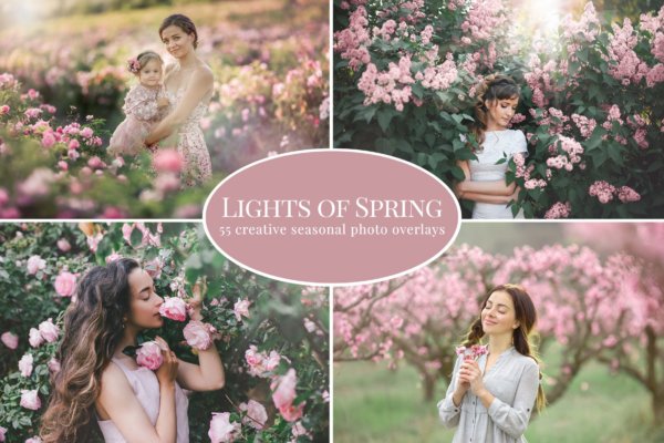 55张高清春天元素灯光叠加背景图片素材 Lights Of Spring Photo Overlays