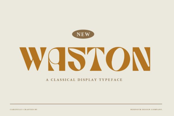复古逆反差海报请柬徽标logo设计衬线英文字体 Waston – Retro Display Font