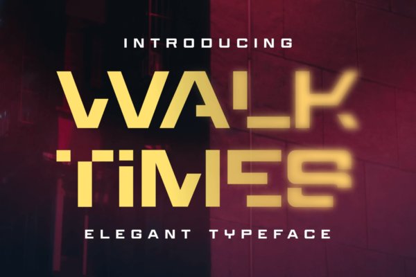 现代时尚品牌海报徽标设计无衬线英文字体 DS Walktimes – Elegant Typeface