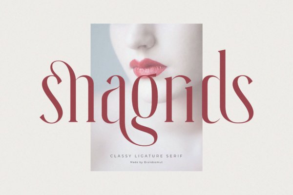 现代优雅杂志标识徽标设计衬线英文字体 Snagrids – Classy Ligature Serif