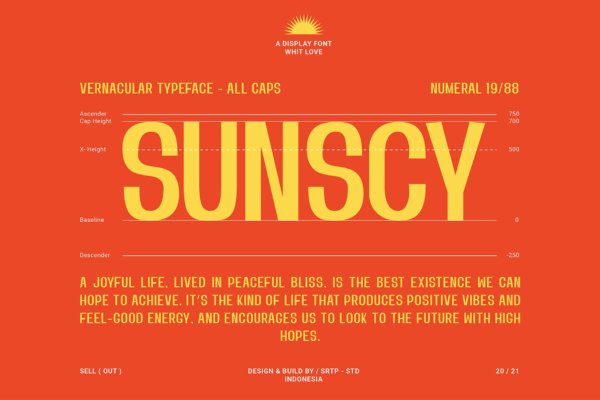 复古海报标签标题设计无衬线英文字体 SUNSCY