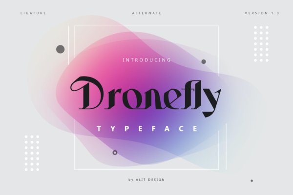 现代标识标题徽标logo设计衬线英文字体 Dronefly Typeface