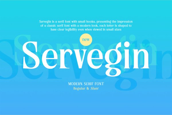 现代复古杂志包装标识设计衬线英文字体 Servegin