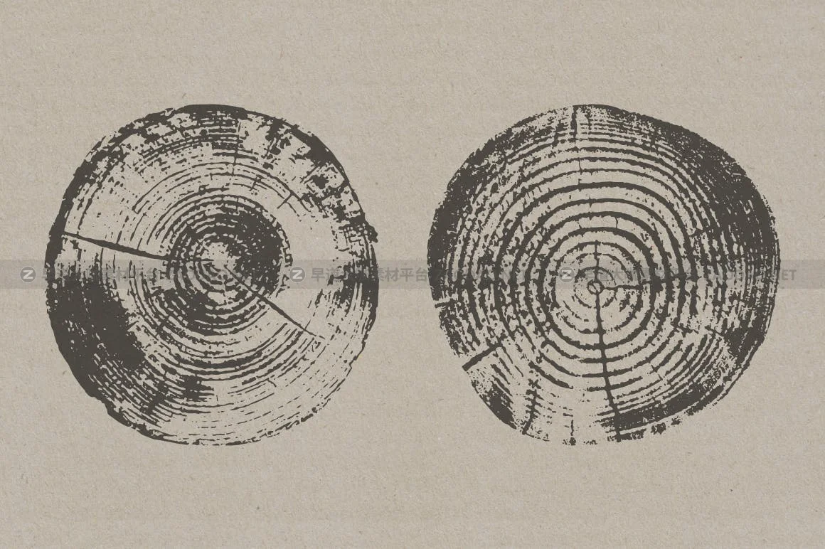 20个黑色树桩纹理装饰图片矢量设计素材 Tree Stump Textures – Vector & PNG插图10
