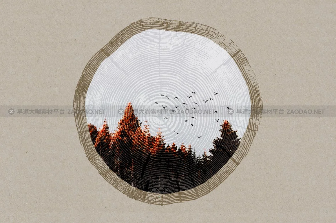20个黑色树桩纹理装饰图片矢量设计素材 Tree Stump Textures – Vector & PNG插图13