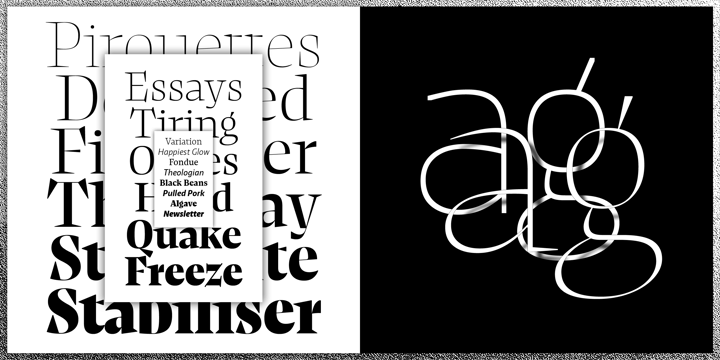 复古罗马风格杂志画册设计衬线英文字体家族 NewsSerif Font Family插图1 复古罗马风格杂志画册设计衬线英文字体家族 NewsSerif Font Family插图1