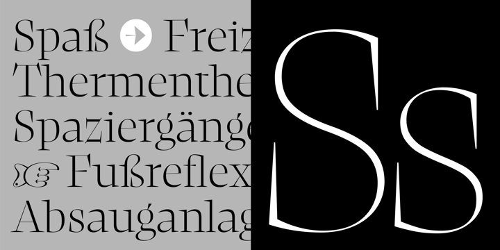 复古罗马风格杂志画册设计衬线英文字体家族 NewsSerif Font Family插图3 复古罗马风格杂志画册设计衬线英文字体家族 NewsSerif Font Family插图3