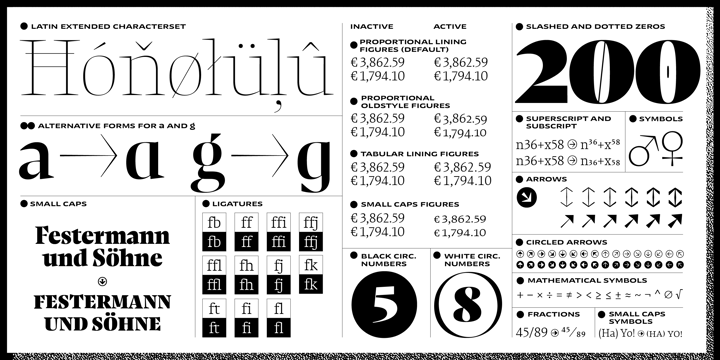 复古罗马风格杂志画册设计衬线英文字体家族 NewsSerif Font Family插图6 复古罗马风格杂志画册设计衬线英文字体家族 NewsSerif Font Family插图6