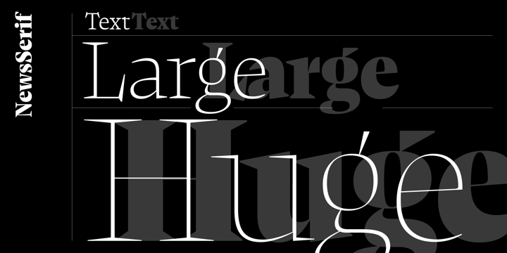 复古罗马风格杂志画册设计衬线英文字体家族 NewsSerif Font Family插图7 复古罗马风格杂志画册设计衬线英文字体家族 NewsSerif Font Family插图7