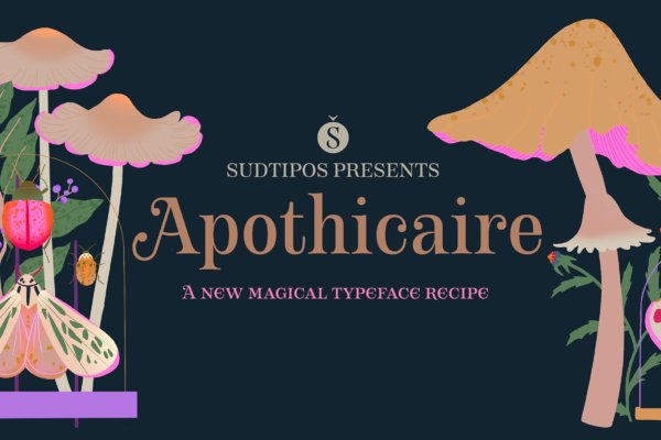 优雅复古标题品牌徽标Logo设计衬线英文字体素材包 Apothicaire Font Family