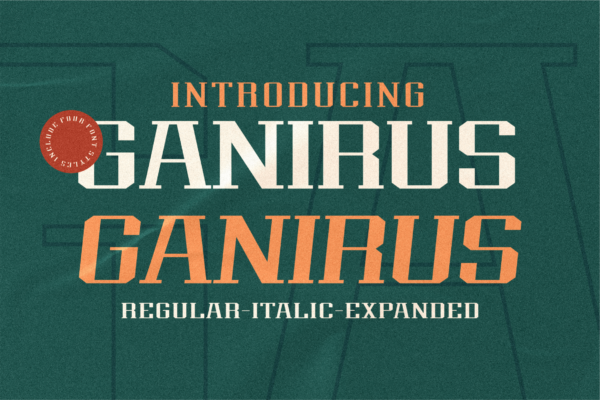 现代杂志海报徽标logo设计衬线英文字体 Ganirus