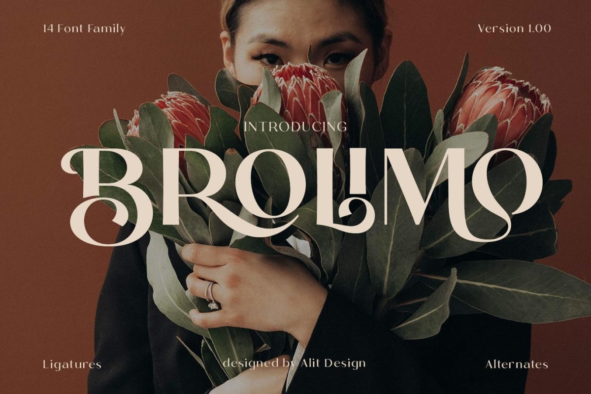 优雅奢华杂志海报徽标logo设计衬线英文字体 Bromilo Typeface插图