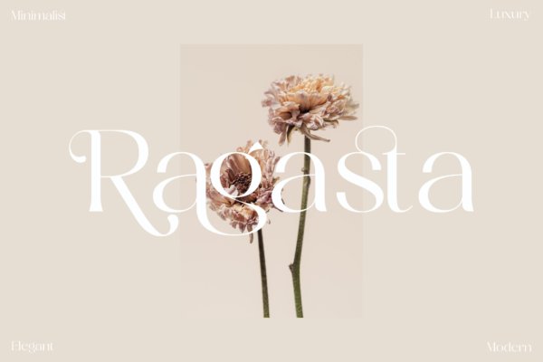 优雅海报品牌项目设计衬线英文字体 Ragasta Minimalist Serif Font LS