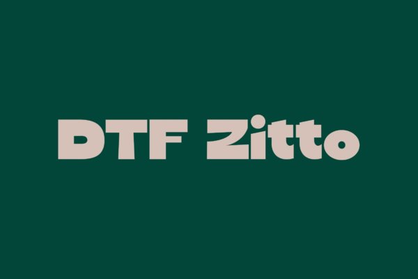 优雅奢华杂志海报徽标logo设计无衬线英文字体 DTF Zitto