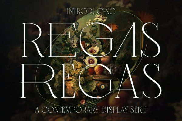 现代品牌标识包装设计衬线英文字体 Regas Classic Vintage Display Serif Font