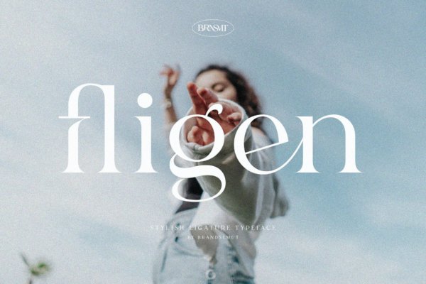 时尚奢华杂志标识徽标logo设计衬线英文字体 Fligen – Stylish Serif
