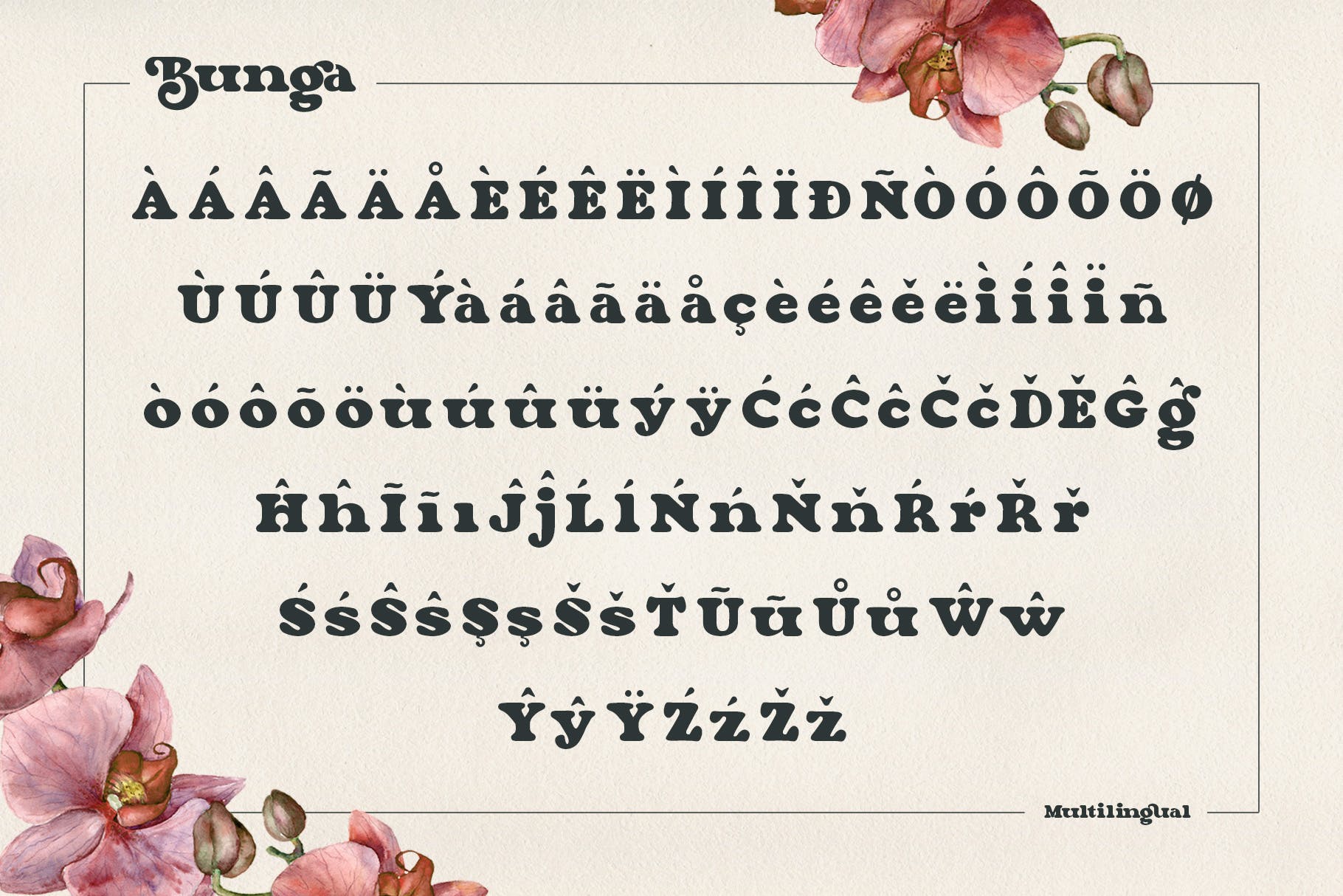 复古杂志标志标识设计衬线英文字体 Bunga插图11 复古杂志标志标识设计衬线英文字体 Bunga插图11