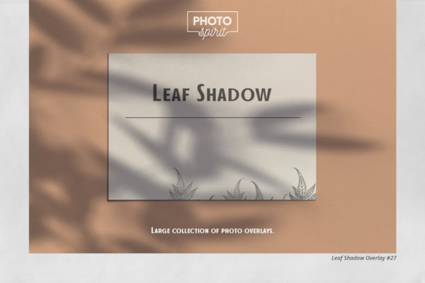 69个华丽树叶阴影Ps叠加背景图片设计素材 Leaf Shadow Overlays