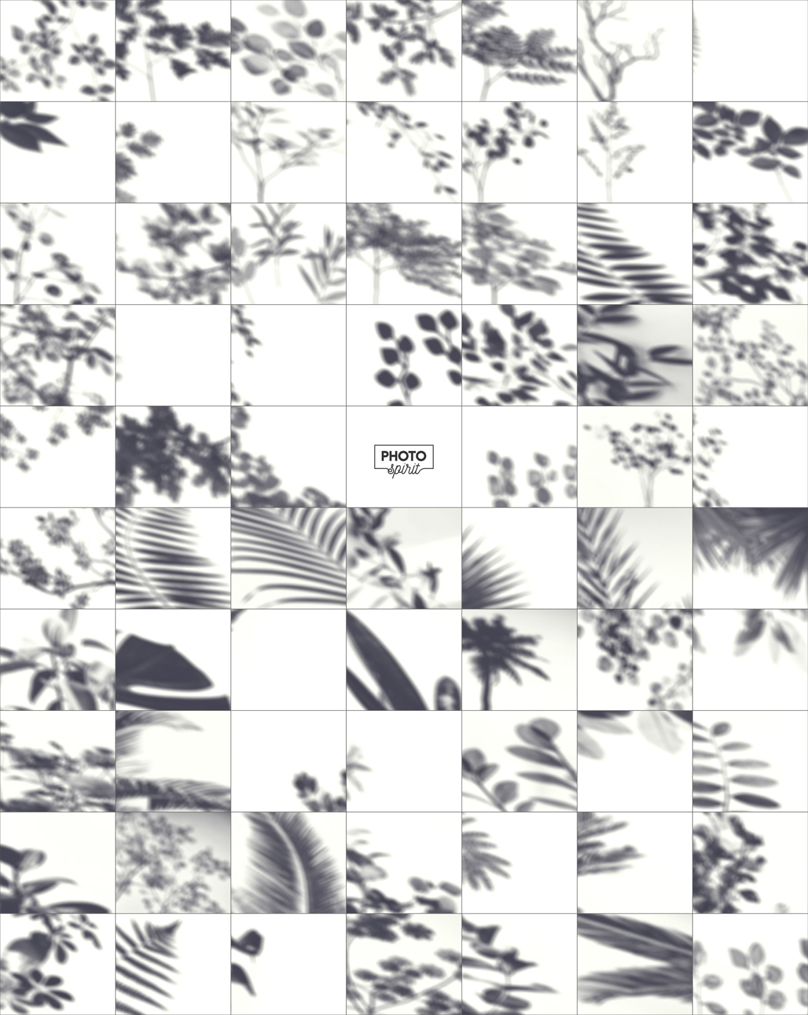 69个华丽树叶阴影Ps叠加背景图片设计素材 Leaf Shadow Overlays插图6 69个华丽树叶阴影Ps叠加背景图片设计素材 Leaf Shadow Overlays插图6