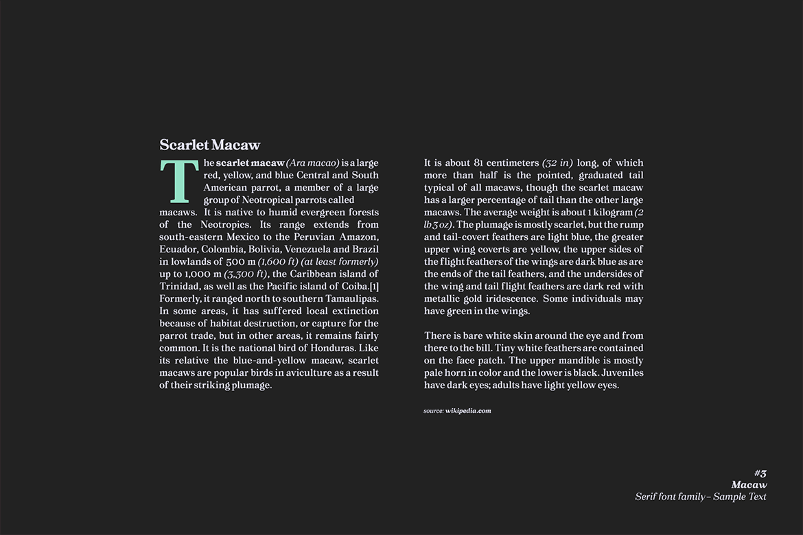 现代复古网页标志Logo设计衬线英文字体下载 Macaw – Serif Typeface插图3 现代复古网页标志Logo设计衬线英文字体下载 Macaw – Serif Typeface插图3