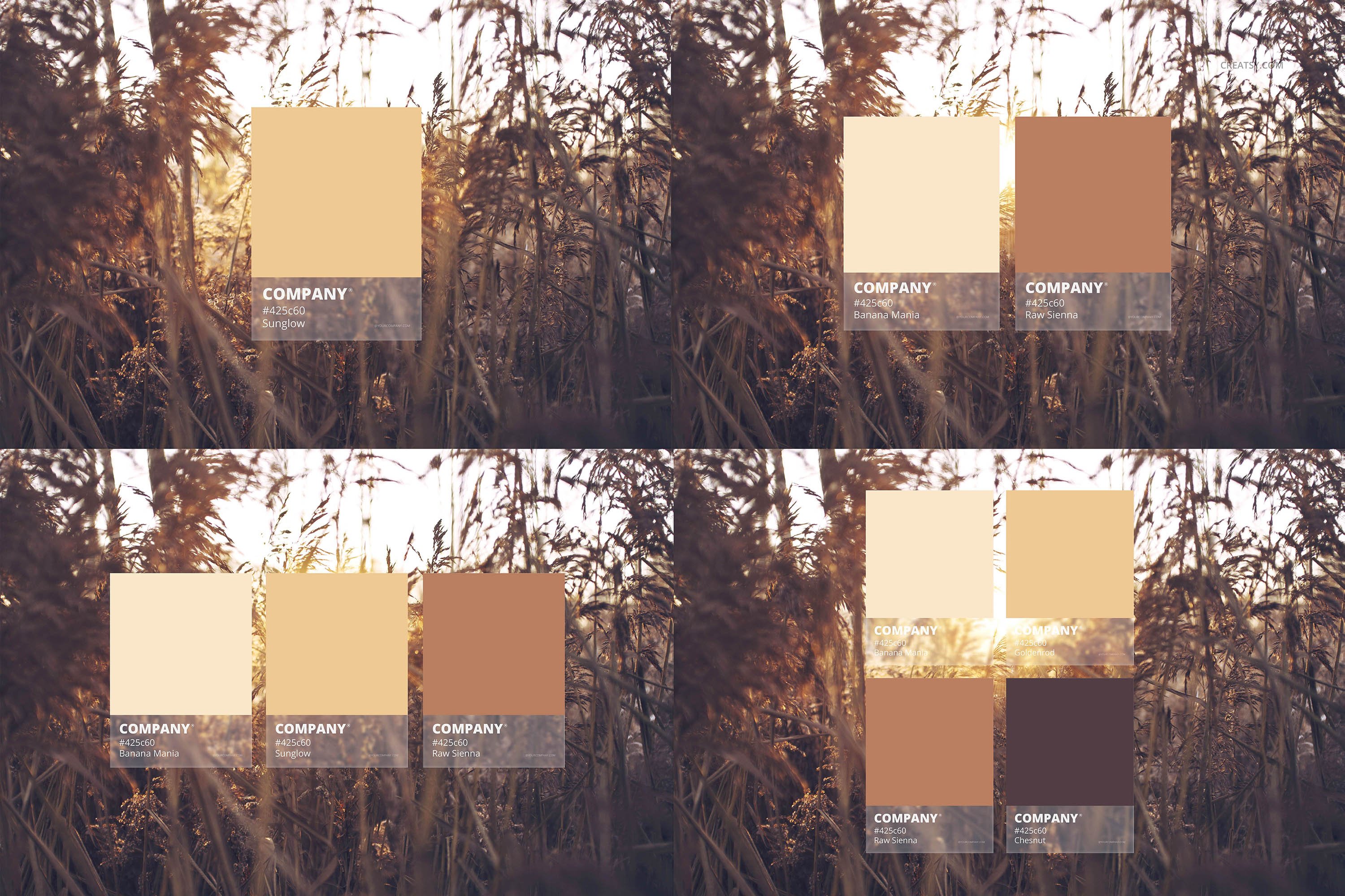 名片卡片色卡设计智能贴图样机合集 Color Match Mockup Set插图9 名片卡片色卡设计智能贴图样机合集 Color Match Mockup Set插图9