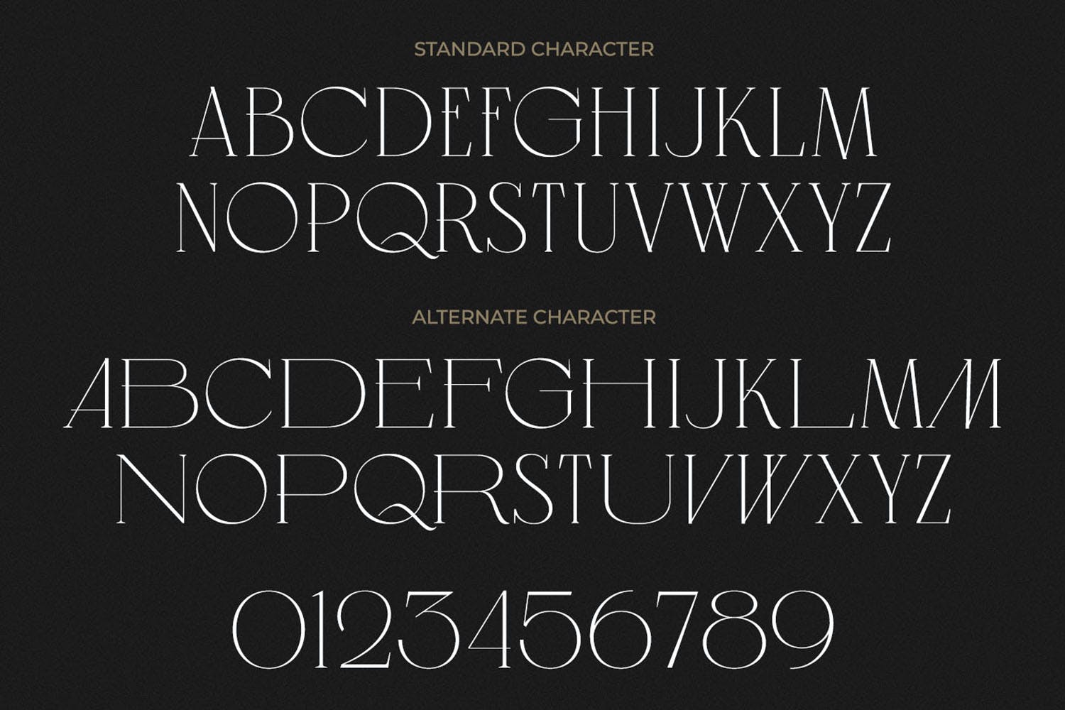 现代品牌标识包装设计衬线英文字体 Regas Classic Vintage Display Serif Font插图5 现代品牌标识包装设计衬线英文字体 Regas Classic Vintage Display Serif Font插图5