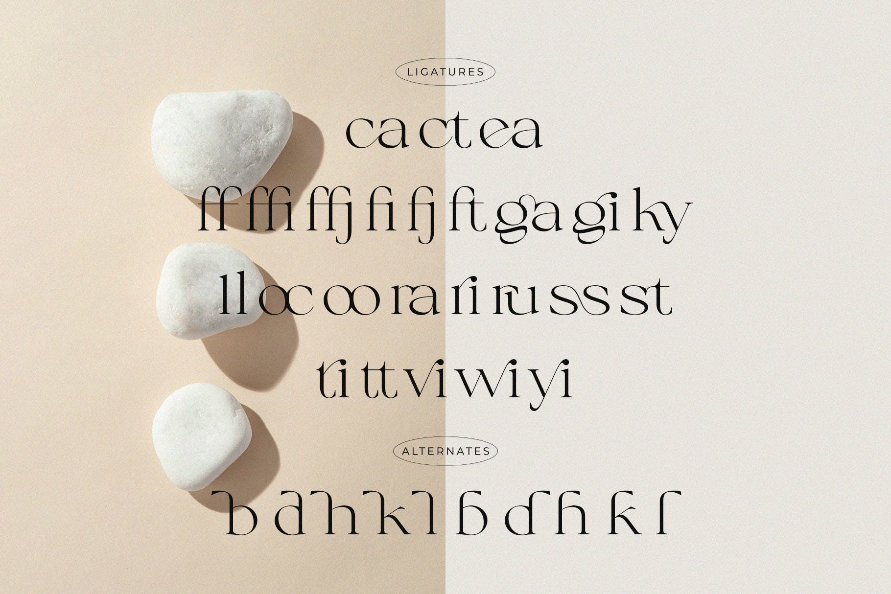 时尚优雅杂志标识徽标logo设计衬线英文字体 Calliga – Stylish Display Serif插图8 时尚优雅杂志标识徽标logo设计衬线英文字体 Calliga – Stylish Display Serif插图8
