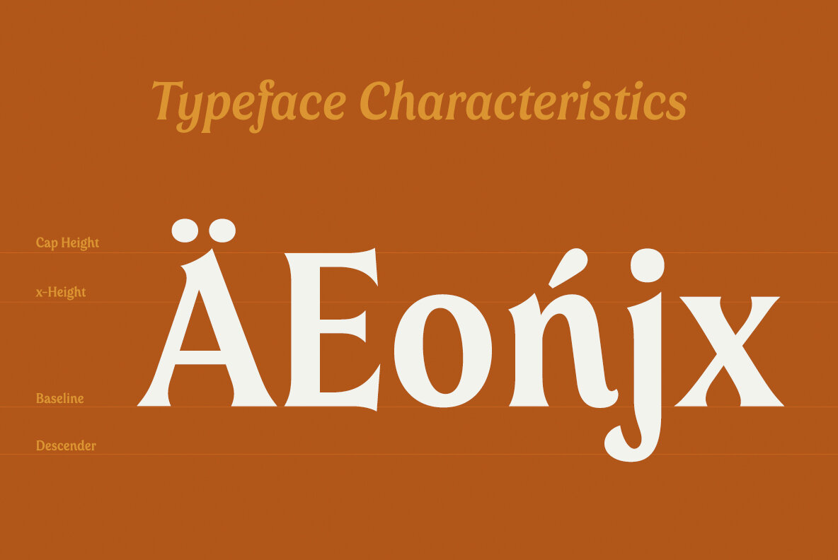 54款70年代时尚复古放克风标题徽标Logo设计衬线英文字体素材 Valeson Font Family插图6 54款70年代时尚复古放克风标题徽标Logo设计衬线英文字体素材 Valeson Font Family插图6
