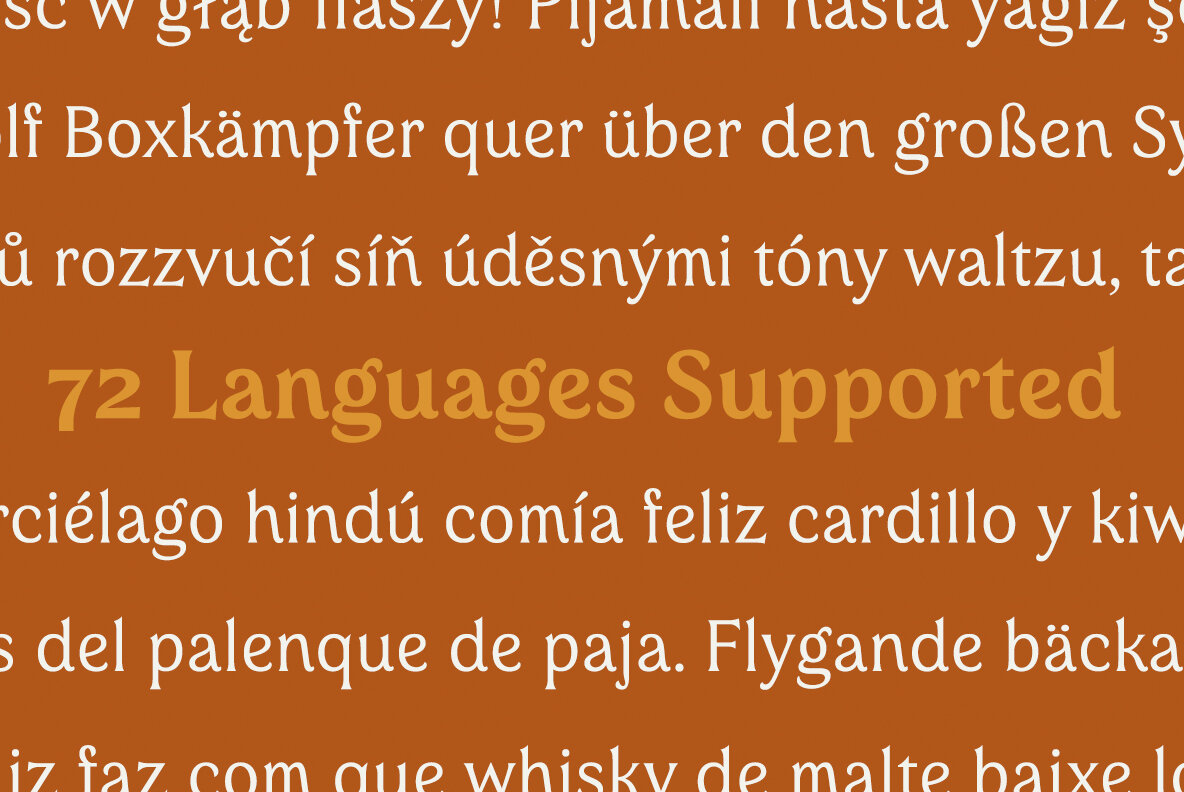 54款70年代时尚复古放克风标题徽标Logo设计衬线英文字体素材 Valeson Font Family插图7 54款70年代时尚复古放克风标题徽标Logo设计衬线英文字体素材 Valeson Font Family插图7