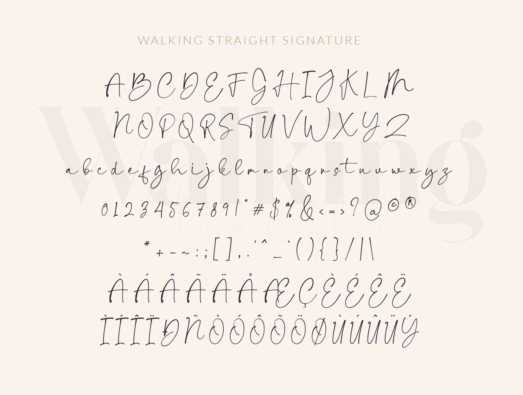 现代经典品牌标题徽标Logo设计衬线英文字体素材包 Walking Straight Font插图5 现代经典品牌标题徽标Logo设计衬线英文字体素材包 Walking Straight Font插图5