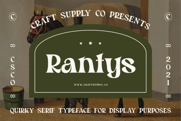 复古品牌标识婚礼设计衬线英文字体 Rantys – Quirky Serif