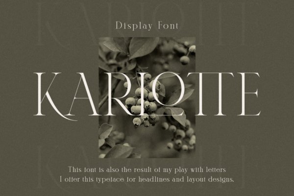 优雅杂志海报徽标logo设计衬线英文字体 Karlotte – Elegant Serif Font