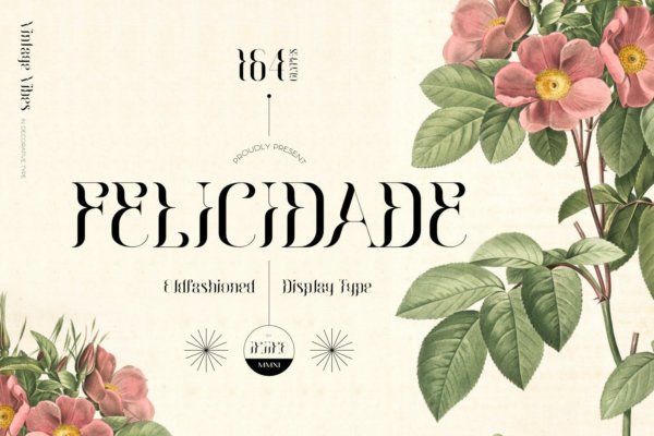 复古杂志海报包装设计衬线英文字体 Felicidade – Oldfashioned Type