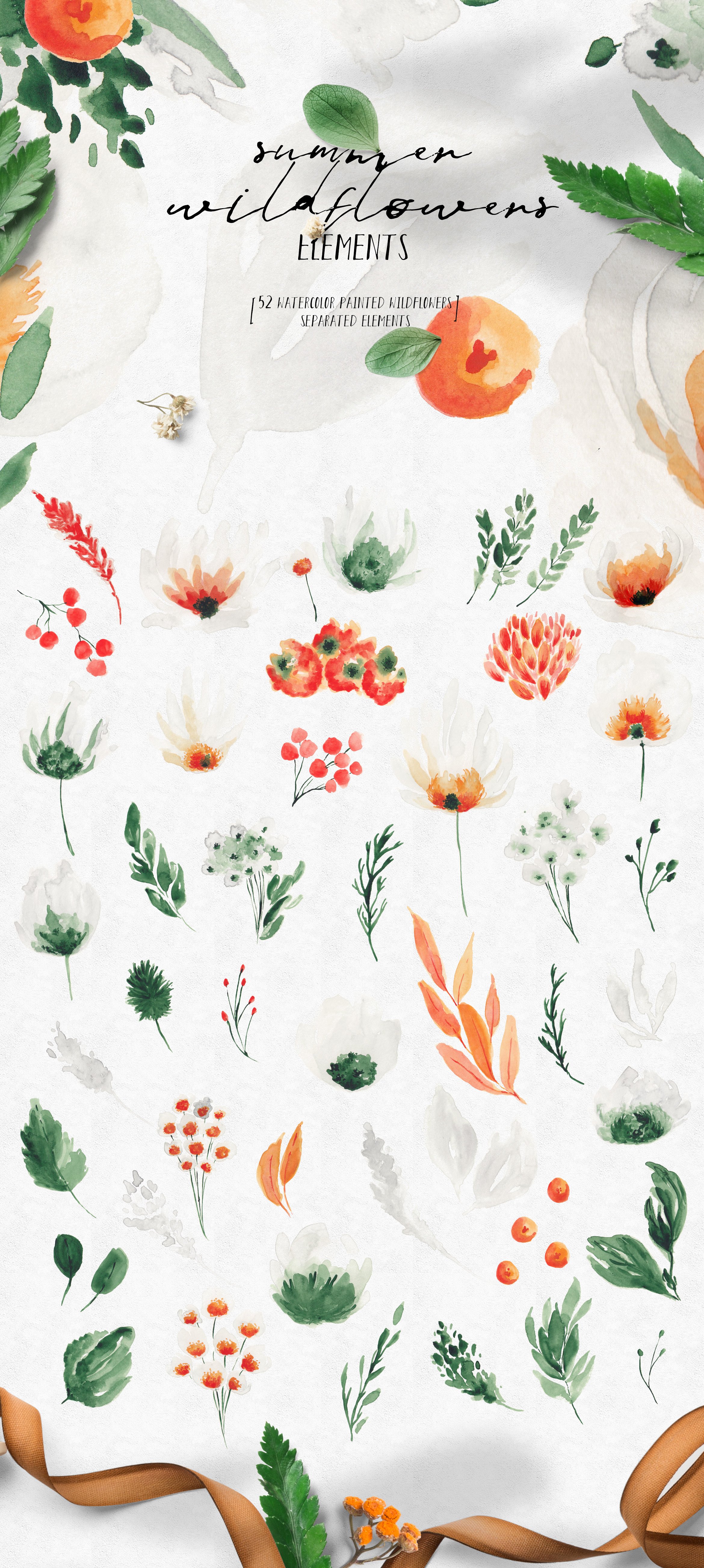 夏季野花花束树叶框架大写字母水彩背景PNG透明图片设计素材 Summer Wildflowers Illustration Pack插图13 夏季野花花束树叶框架大写字母水彩背景PNG透明图片设计素材 Summer Wildflowers Illustration Pack插图13