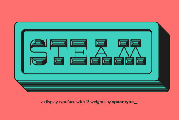 13款潮流现代趣味复古逆反差英文衬线字体设计素材 Steam Font Family